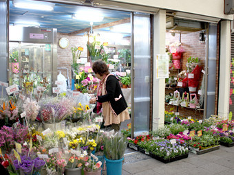色とりどりの花々と良心的な価格の花屋