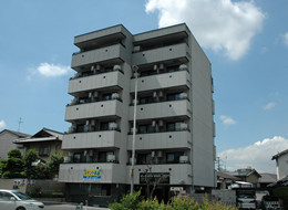 マンション